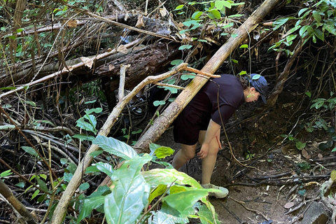 From Phuket: Guided Rainforest Hike with Lunch