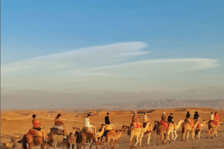 Marrakech: ATV & Camel with sunset & dinner show Quad bike & camel ride and dinner show