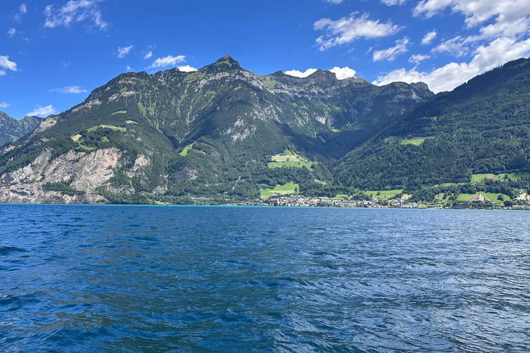 Lake Lucerne: Private Luxury Boat Cruise