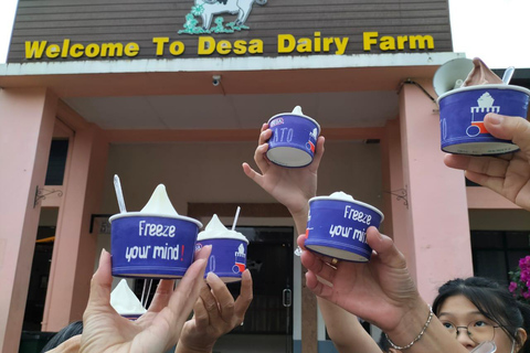 Kundasang : Poring Hot Spring + Desa & Meal Shared Tour