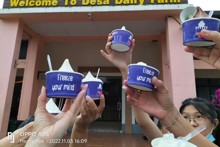 Kundasang : Poring Hot Spring + Desa & Meal Shared Tour