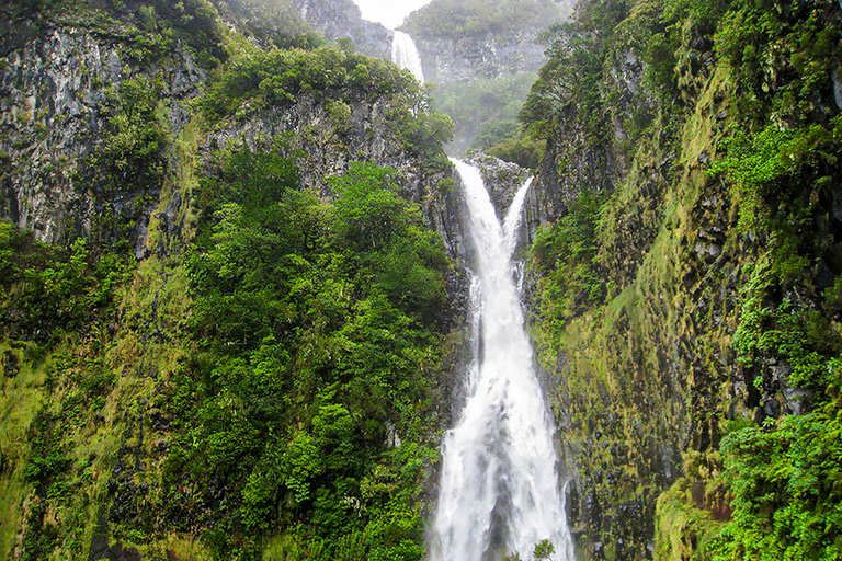 Excursión a Madeira: ruta de levada en el valle de RabaçalRuta por Levada en el valle de Rabaçal