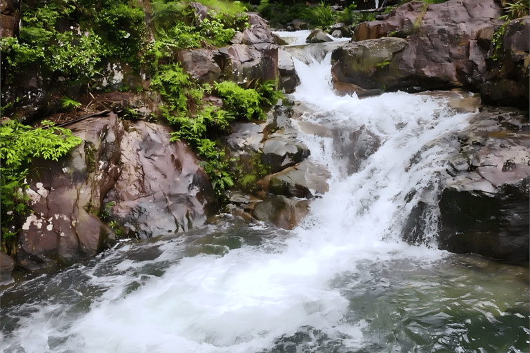 Guangzhou: Ziyun Valley Trekking Day Trip with Ferry Ride