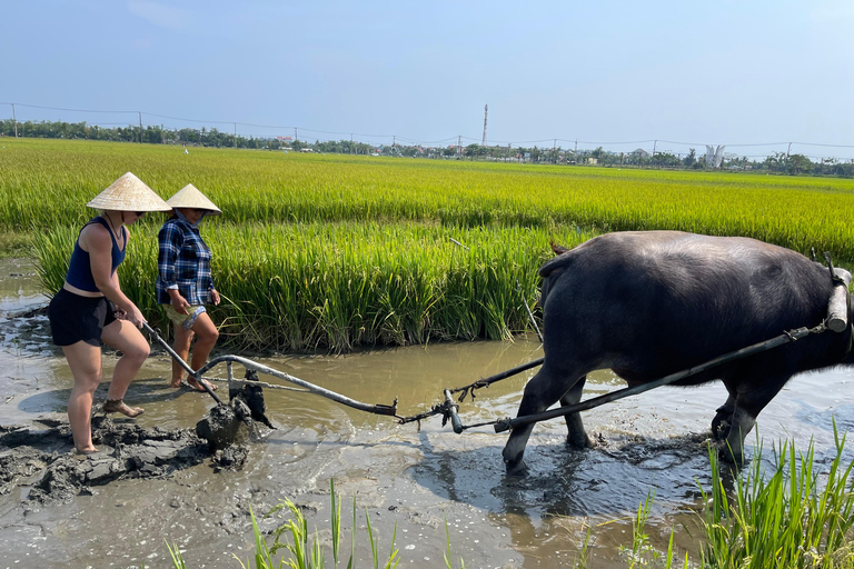 Ontdek het platteland van Hoi An