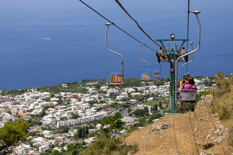 Vanuit Sorrento: Capri Land en Zee Tour in kleine groep