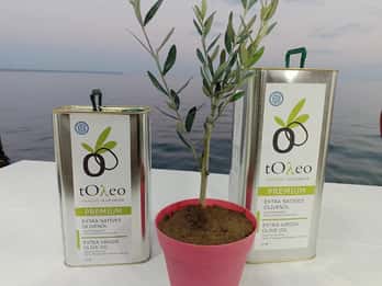 45 min. Olive Oil Workshop in Kriopigi - Halkidiki.