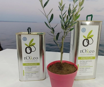 45 min. Olive Oil Workshop in Kriopigi - Halkidiki.