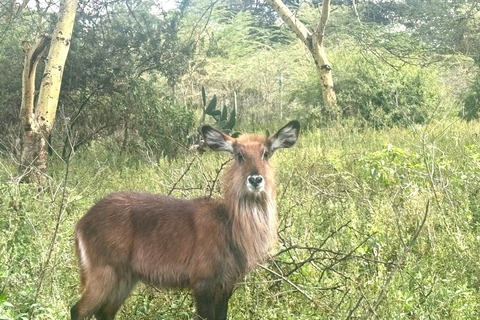 Nairobi: Hell’s Gate Park Cycling & Lake Naivasha Tour