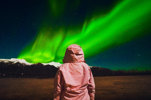 Reykjavik: Northern Lights Tour with Chinese Guide冰岛雷市中文极光团 极光团（含Bus Stop #12免费接送）