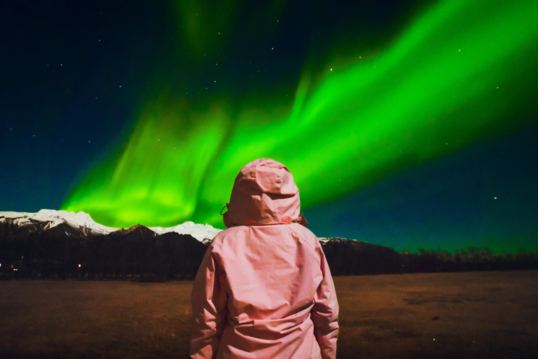 Reykjavik: Northern Lights Tour with Chinese Guide冰岛雷市中文极光团 极光团（含Bus Stop #12免费接送）