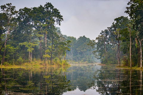 3 noce 4 dni: Park Narodowy Chitwan z noclegiem w wieży