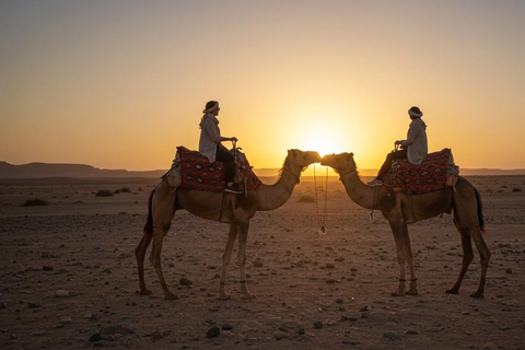 Marrakech: Agafay Wüste Quad &amp; Kamelreiten mit Dinner ShowMarrakesch: Quad- und Kamelritt in der Agafay-Wüste mit Dinner-Show
