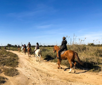 Sousse/Monastir : Excursion privée à cheval avec transfert