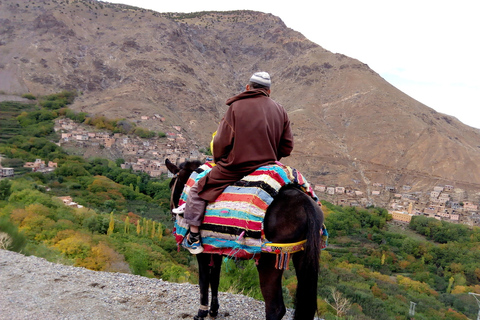 Marrakech: Atlasbergen och tre dalar, KamelridningMarrakech: Dagsutflykt till Atlasbergen, kamelritt, lunch