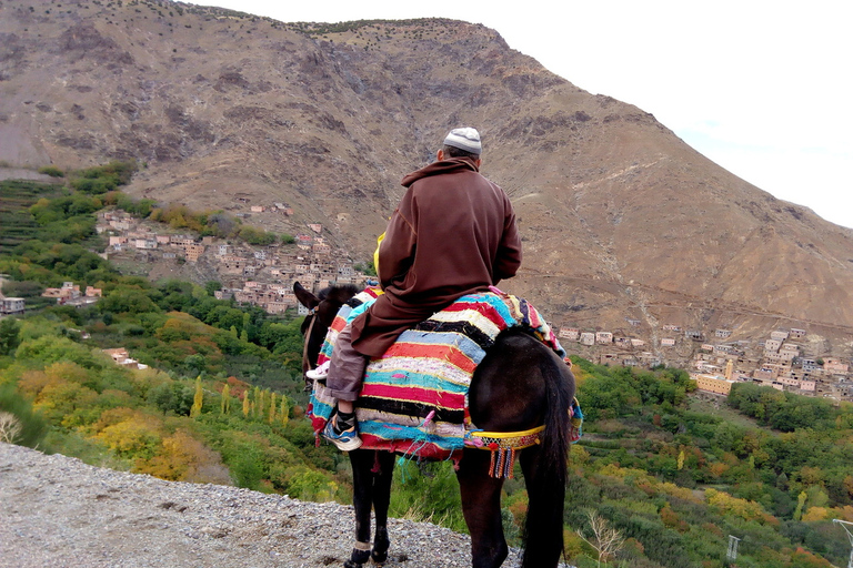 Marrakech: Montagna dell&#039;Atlante e viaggio nelle tre valli, giro in cammelloMarrakech: Escursione di un giorno sulle montagne dell&#039;Atlante, giro in cammello, pranzo