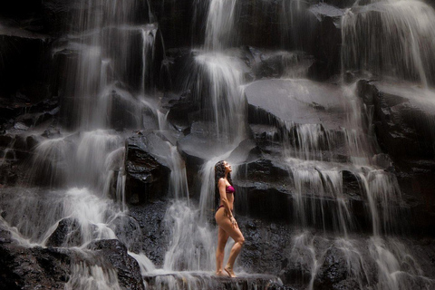 Ubud Waterfalls, Monkey River, Rice Teracces and Bali Swing Ubud Private Tour Without Entry Ticket ( EXLUDED ALL TICKET)