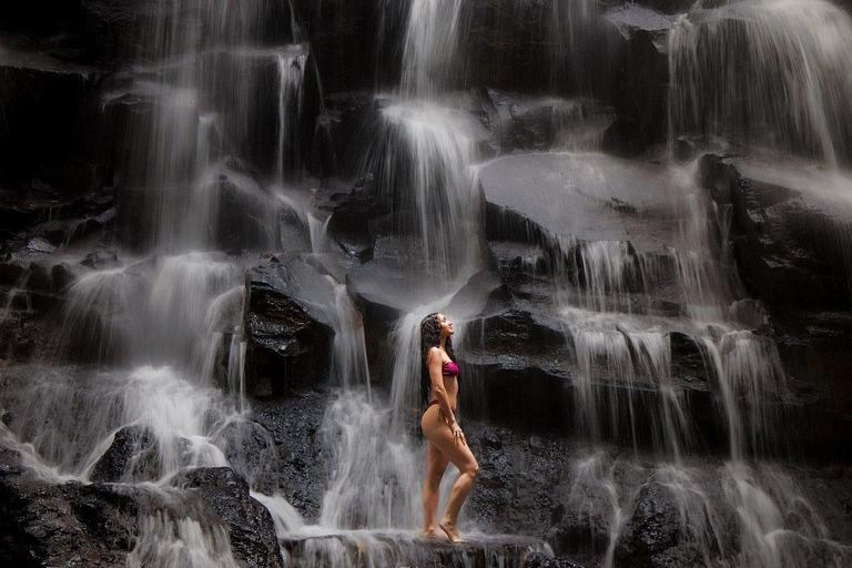 Ubud: Monkey Forest & Waterfalls With Bali Swing Tour Ubud Private Tour Without Ticket