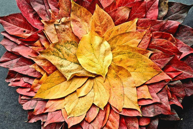 Zagrzeb wśród roślin: miejski spacer botaniczny