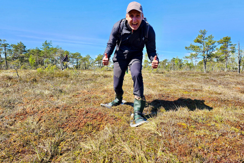Ķemeri Bogs Adventure: Explore Wetlands In Bog Shoes