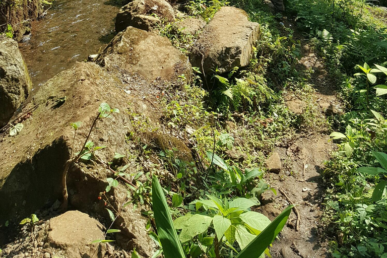 Moshi: Guided Waterfall Hike with Local Stories