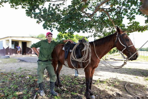 Goyave: Beginner Horseback Ride Between Sea and Mountains