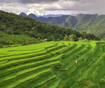 Vanuit Hanoi: Mai Chau en Pu Luong natuurreservaat 2-daagse tour