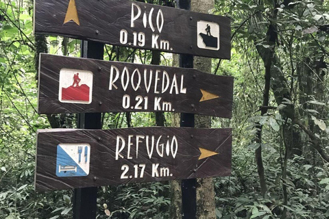 Bogotà: Esplora la foresta e fai birdwatching nel Parco Naturale Chicaque