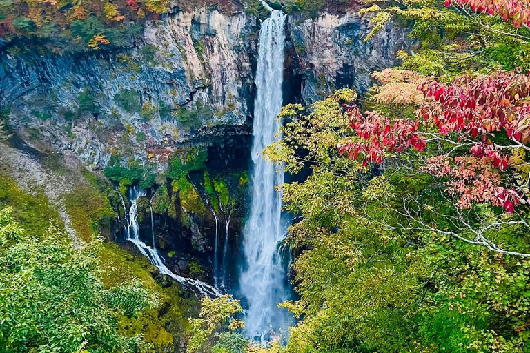 Tokyo: 5-Day Private Tour to Hiroshima with Transport