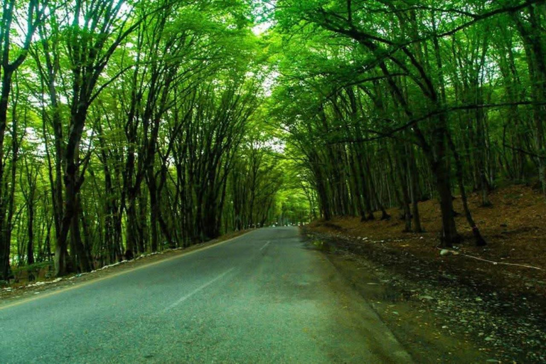 Baku: Guba and Gusar , Shahdag Tour with Roller Coaster Baku: Guba and Gusar , Shahdag Tour with Group