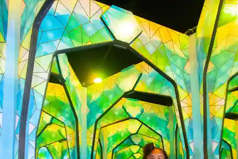 Não te preocupes: Ripley's Mirror Maze Experience