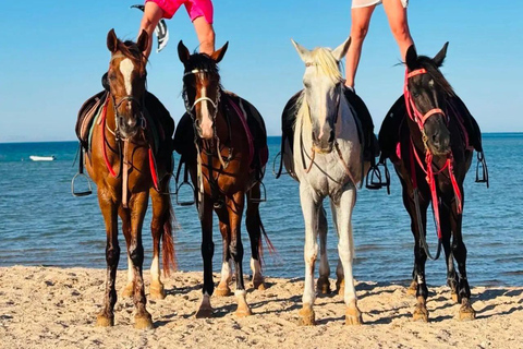 Szarm el-Szejk: jazda konna na pustyni i nad morzem z transferemSzarm el-Szejk: pustynia, morze i jazda konna z transferami