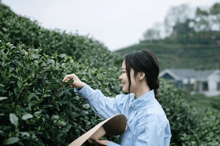 杭州：龙井茶村摄影体验
