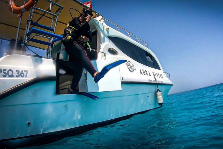 Île de Daymaniyat : Aventure de 2 plongées !