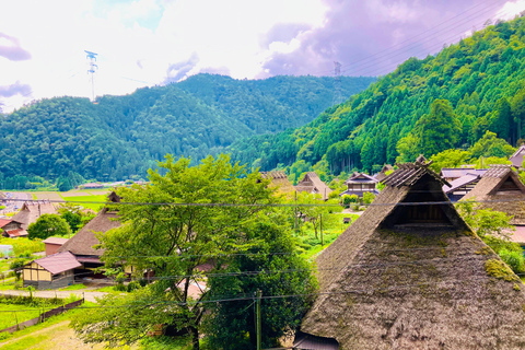 From Osaka: Kyoto Thatched Roof Village Private Car Tour