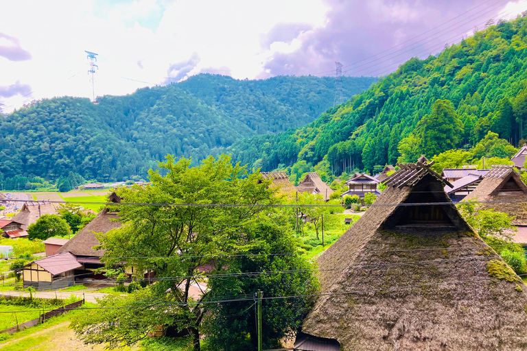 Vanuit Osaka: Kyoto rieten dak dorp privétour per auto