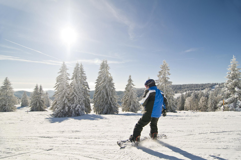 Clases de Snowboard (a partir de 13 años) para principiantes en Feldberg