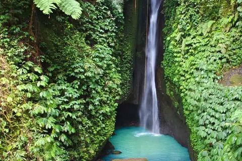 Bali: Monkey Forest Sangeh , Pura & Waterfall Private Tour Bali: Private Tour With Ticket ( Included Ticket )