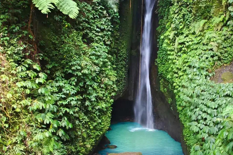 Bali: Monkey Forest Sangeh , Pura & Waterfall Private Tour Bali: Private Tour With Ticket ( Included Ticket )