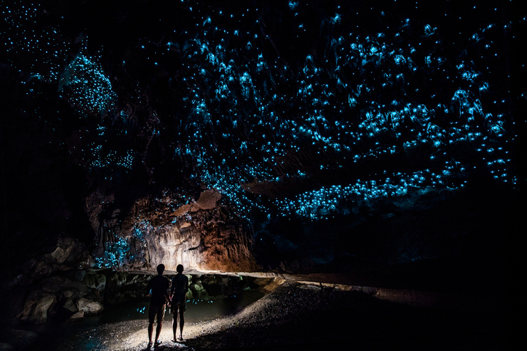 Depuis Auckland ou Rotorua : Hobbiton et Waitomo avec déjeunerD'Auckland à Auckland