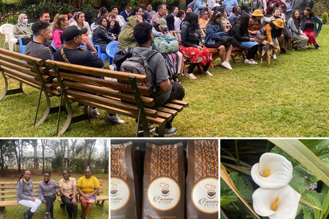 Fairview Coffee Farm and Factory rondleiding met entreeprijzen