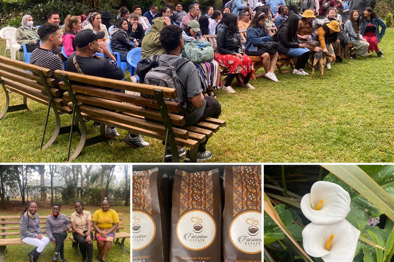 Fairview Coffee Farm and Factory rondleiding met entreeprijzen