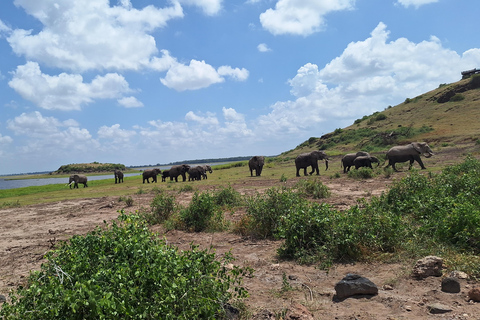 Nairobi: Amboseli National Park Tagestour mit PirschfahrtenSolo Nairobi: Amboseli National Park Tagestour