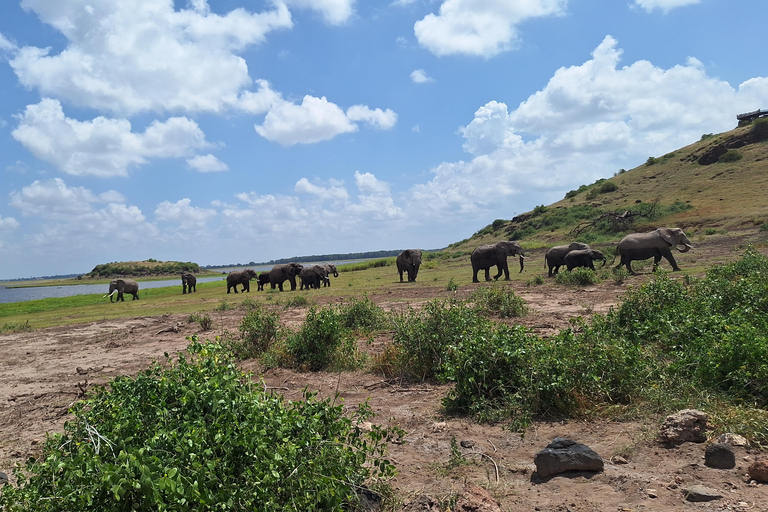 Nairobi: Amboseli National Park Tagestour mit PirschfahrtenSolo Nairobi: Amboseli National Park Tagestour