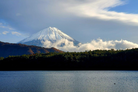 Mount Fuji Full-Day Private Tour from Yokohama Customizable