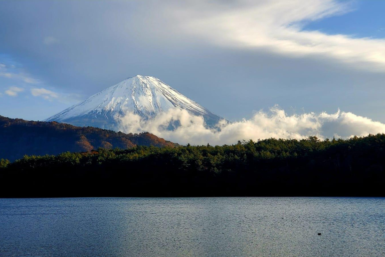 Mount Fuji Full-Day Private Tour from Yokohama Customizable