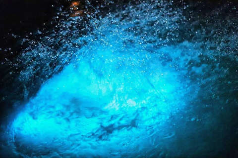 Falmouth: Yacht Cruise with Luminous Lagoon with Lunch