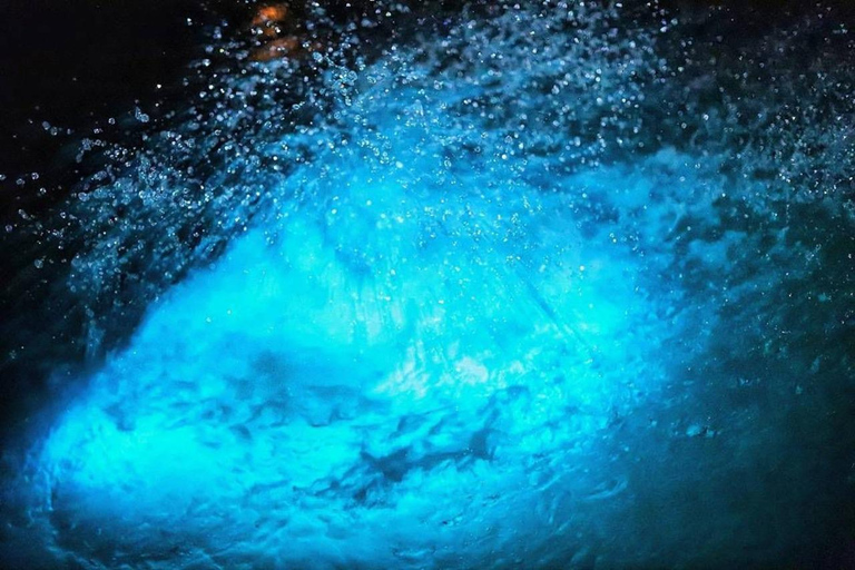 Falmouth: Yacht Cruise with Luminous Lagoon with Lunch