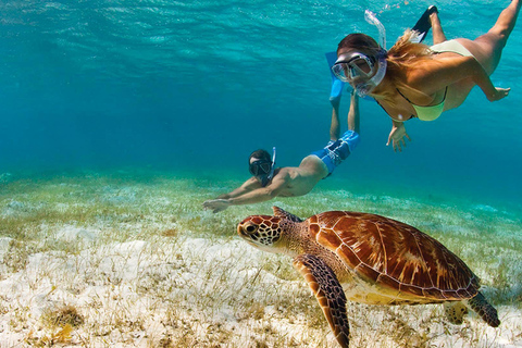 Katamarankryssning och snorkling från Montego Bay