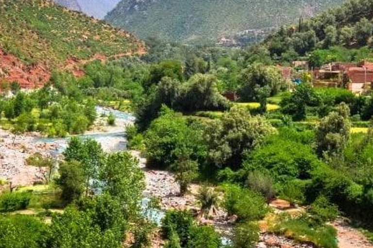 Desde Marrakech: montañas del Atlas, valle de Ourika y paseo en camello