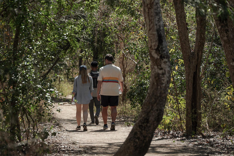 Labuan Bajo: Full-Day Komodo Speedboat Tour with Snorkeling